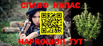 гашик Тулун