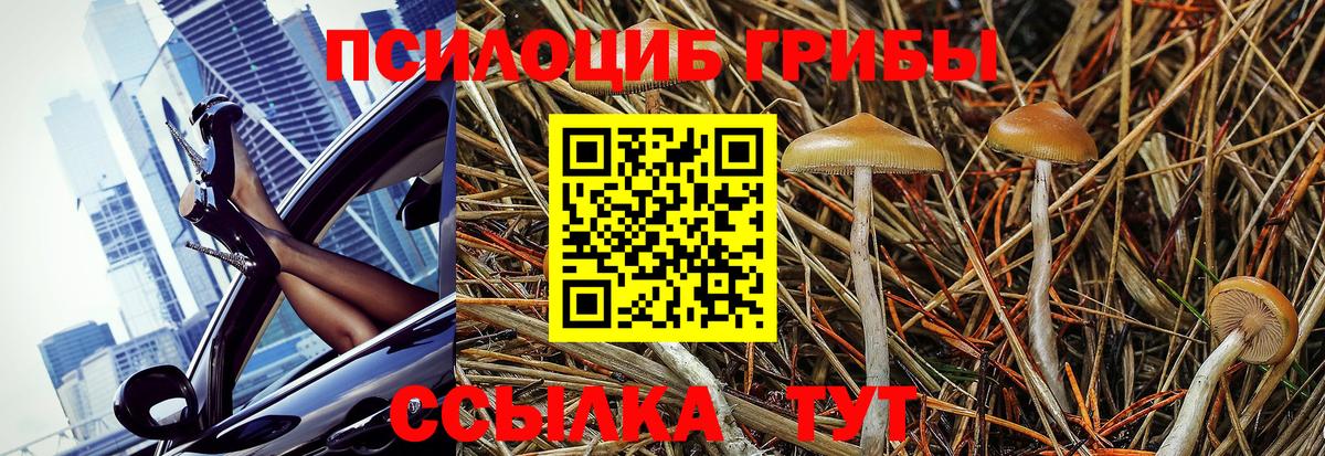 Псилоцибиновые грибы Magic Shrooms Новозыбков